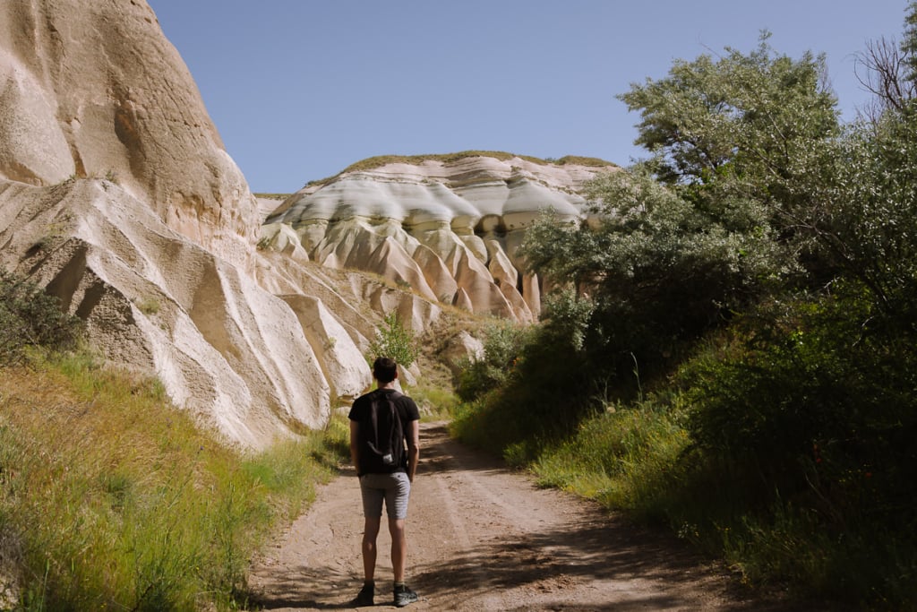 Full day hiking tour including Red, Rose, Love and Pigeon Valleys - 6